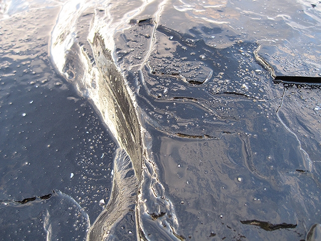 http://www.tdfarch.com/files/gimgs/th-23_detail09_sturgeon.jpg