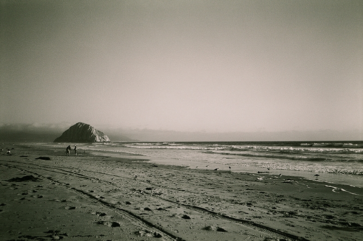 http://www.tdfarch.com/files/gimgs/th-24_film06_nocal.jpg